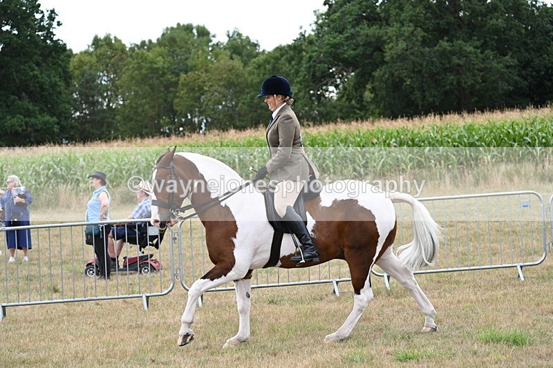 WJ7_5107 - Class 12 Ridden Cob