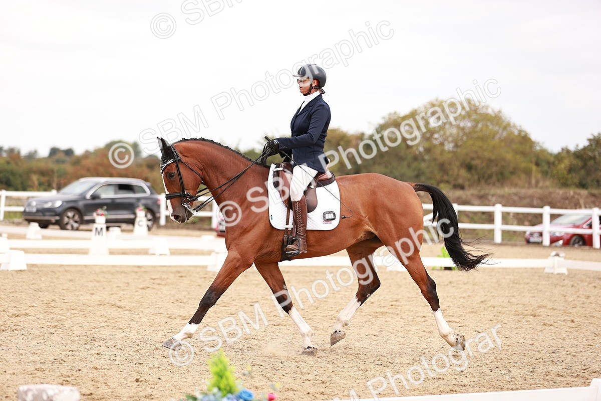 SBM_019240 - Class 20 - Medium 5