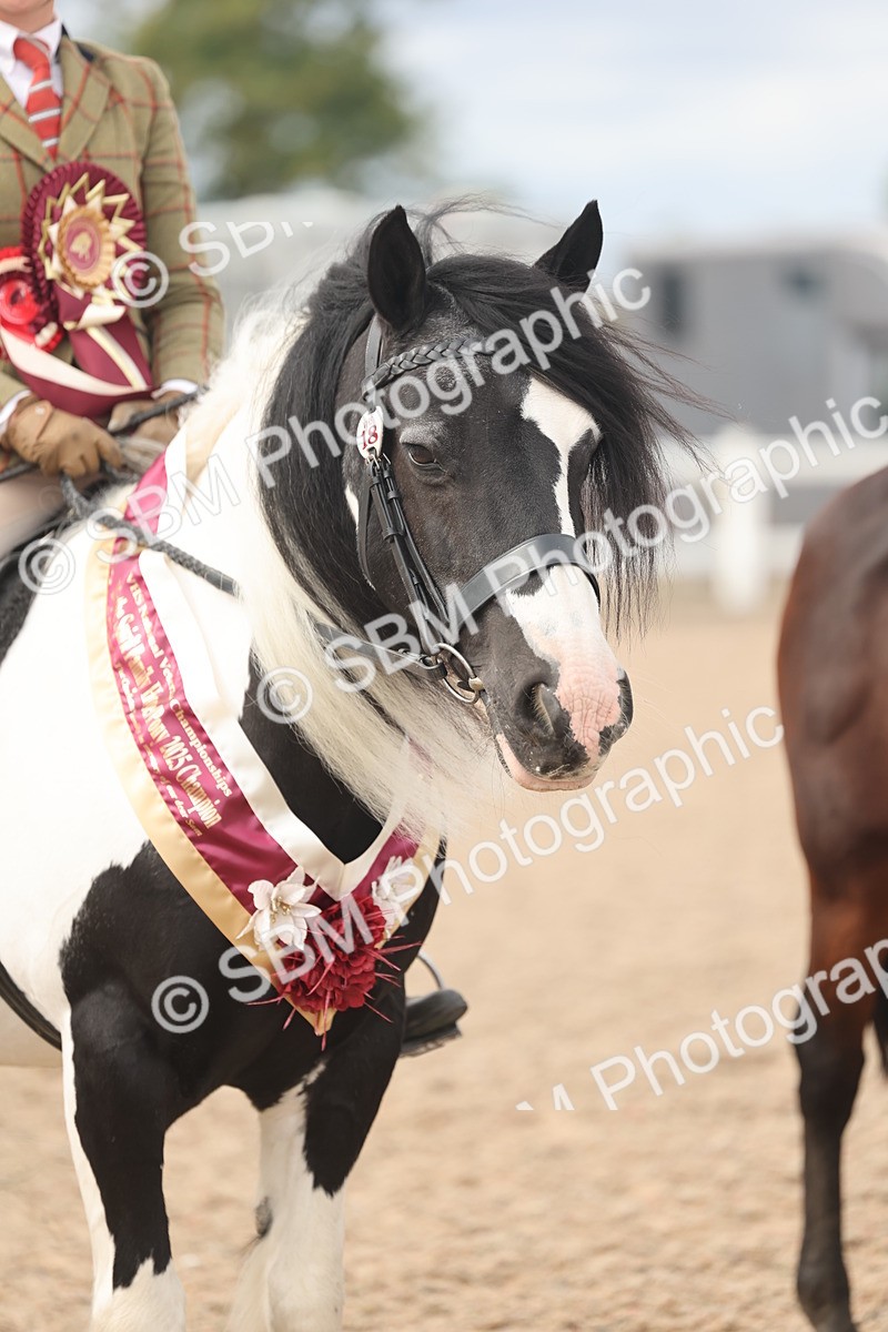 SBM_18073 - Class 314 - Family Horse Pony