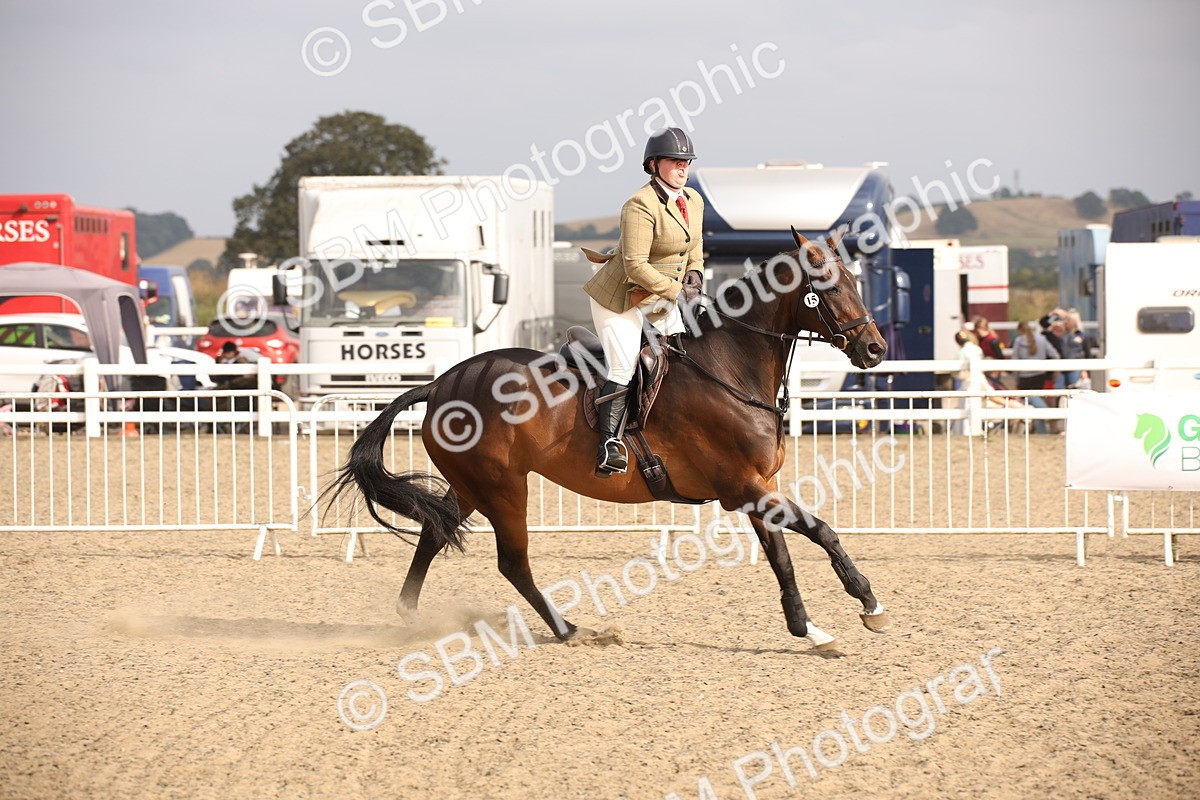 SBM_17293 - Class 410a - Wor5king Veteran 90cm (15-19)