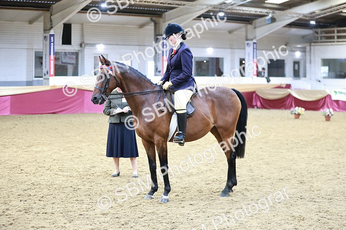 SBM_08256 - Class 11R - Regional Ridden Veteran