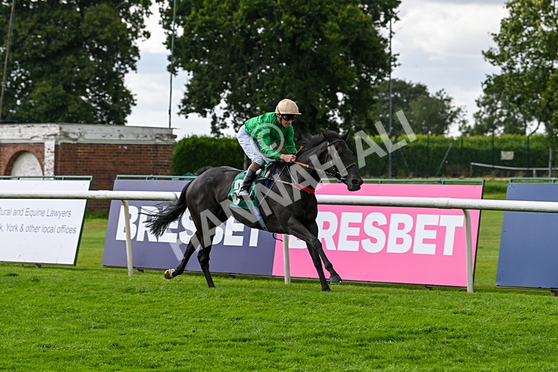 090824-Race 5-Quietness-4770 - Race 5