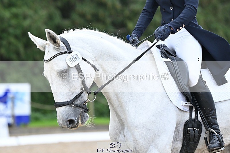 231019-122856-03117 - 114-LATINA'S.TWINKELING-Pippa.Haslam-DR