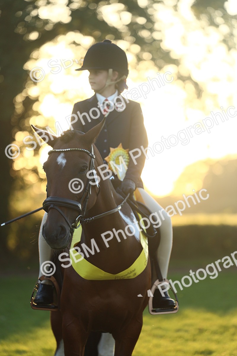 SBM_56660 - Fun & Versatile Supreme Championship