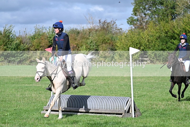 WJ7_8501 - 60cm Pairs