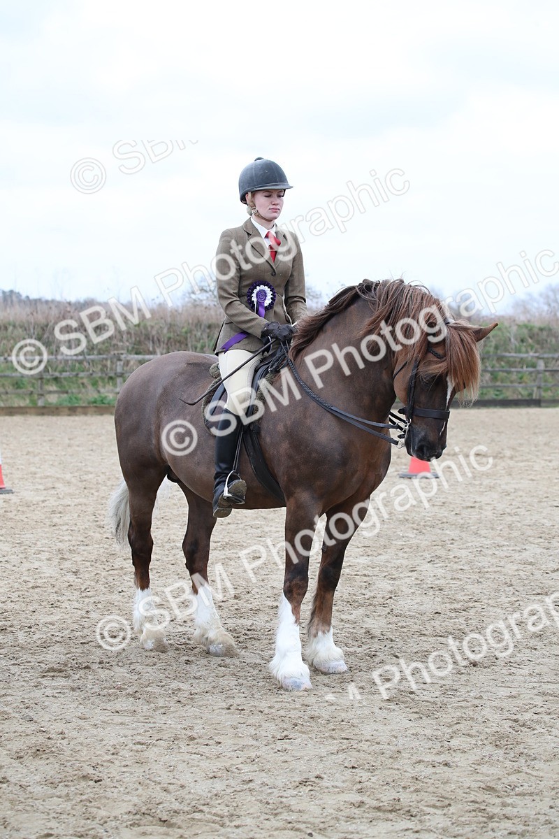 SBM_006447 - Class 10-13 - RIHS Small Large Breeds