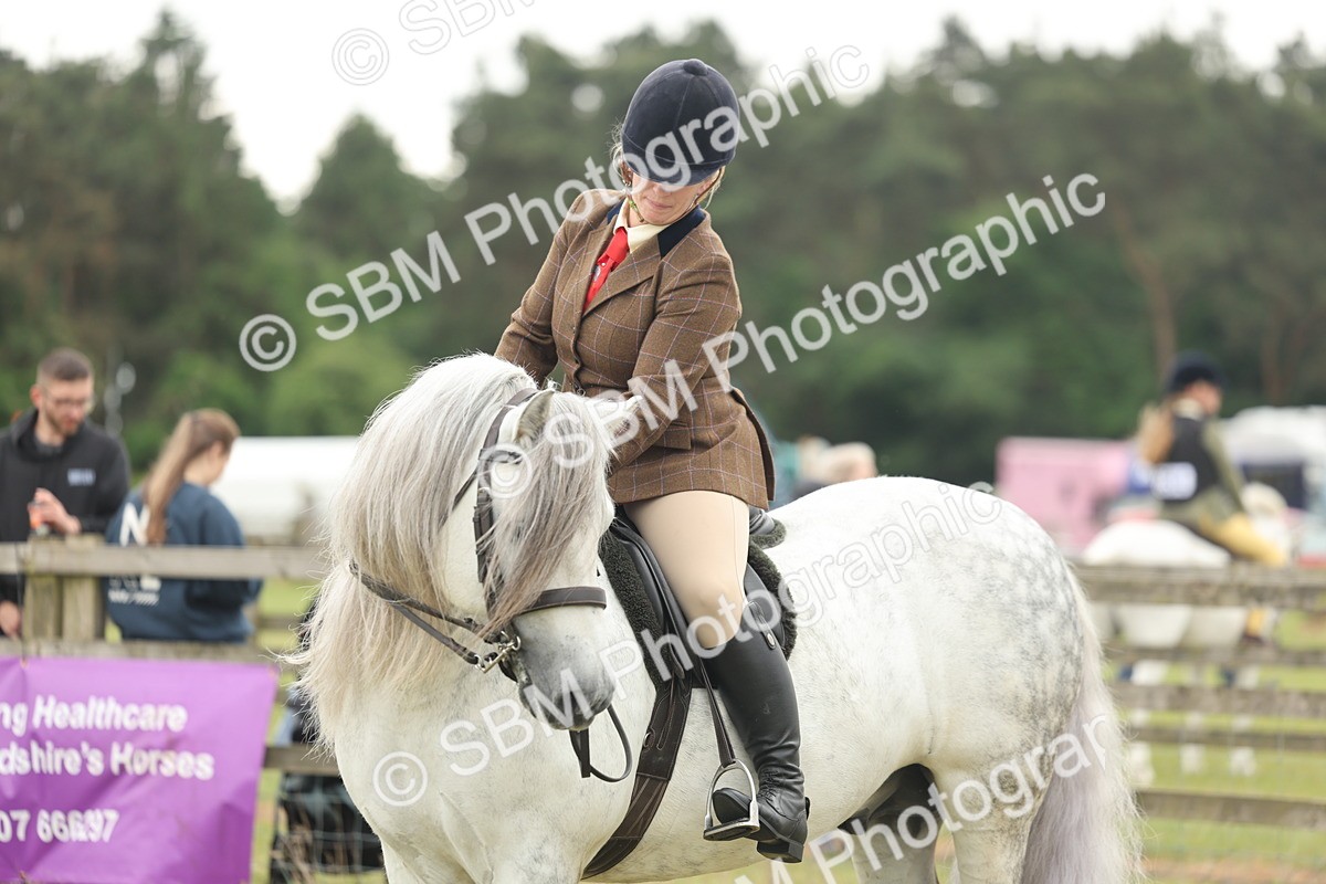 SBM_08995 - Class 78-80 - Ridden M&M Non Welsh Ponies