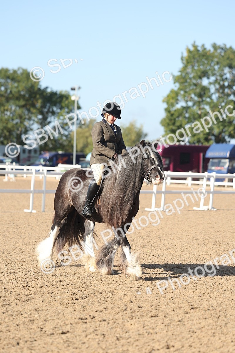 SBM_22201 - Class 802 - Ridden Groom Helpers Class