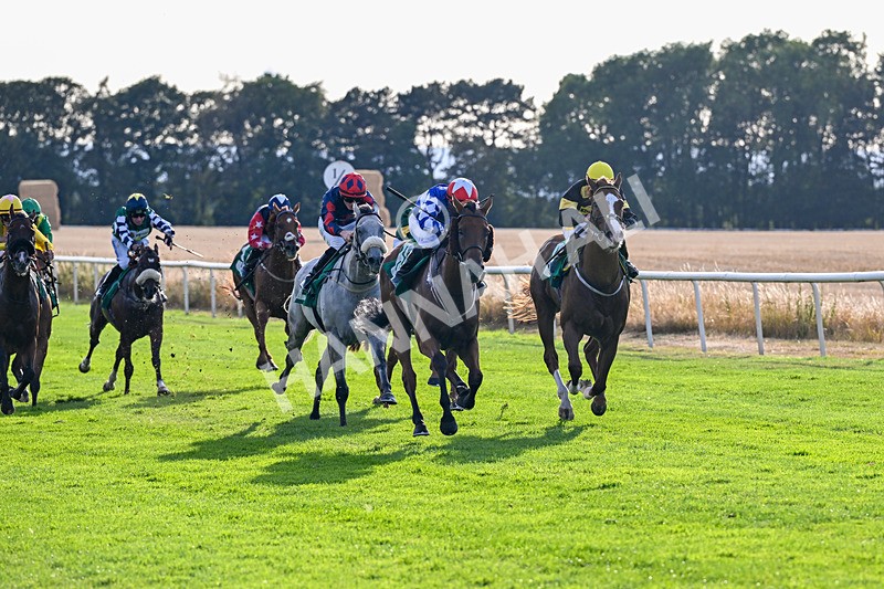 140826-Race 3-Equity Law-1122 - Race 3 18.43pm Heineken 0% Handicap