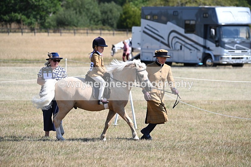 WJ6_7735 - Class 36 Lead Rein