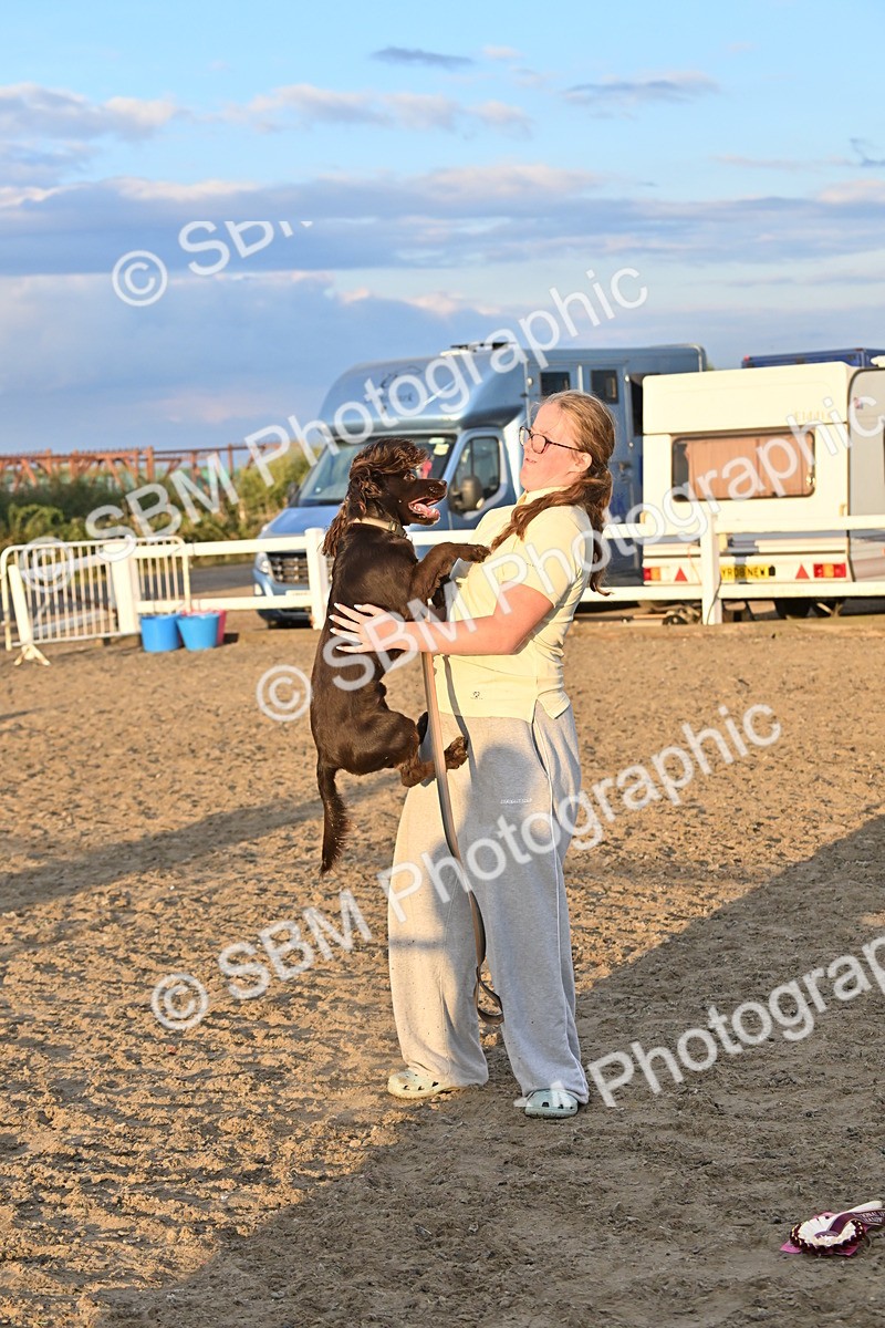 SBM_09712 - Lorry Dogs