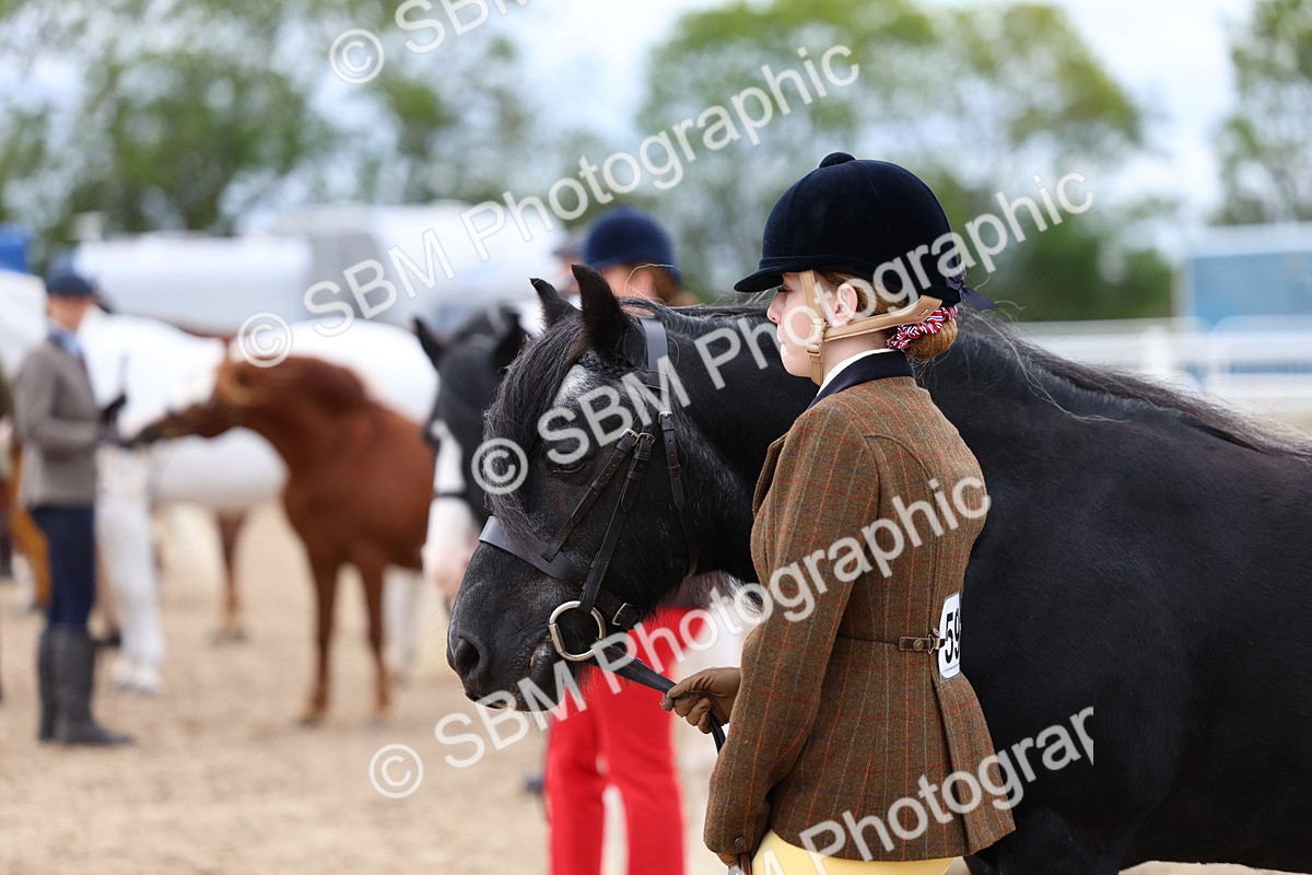 SBM_05965 - Class 29 - IH Veteran Pony