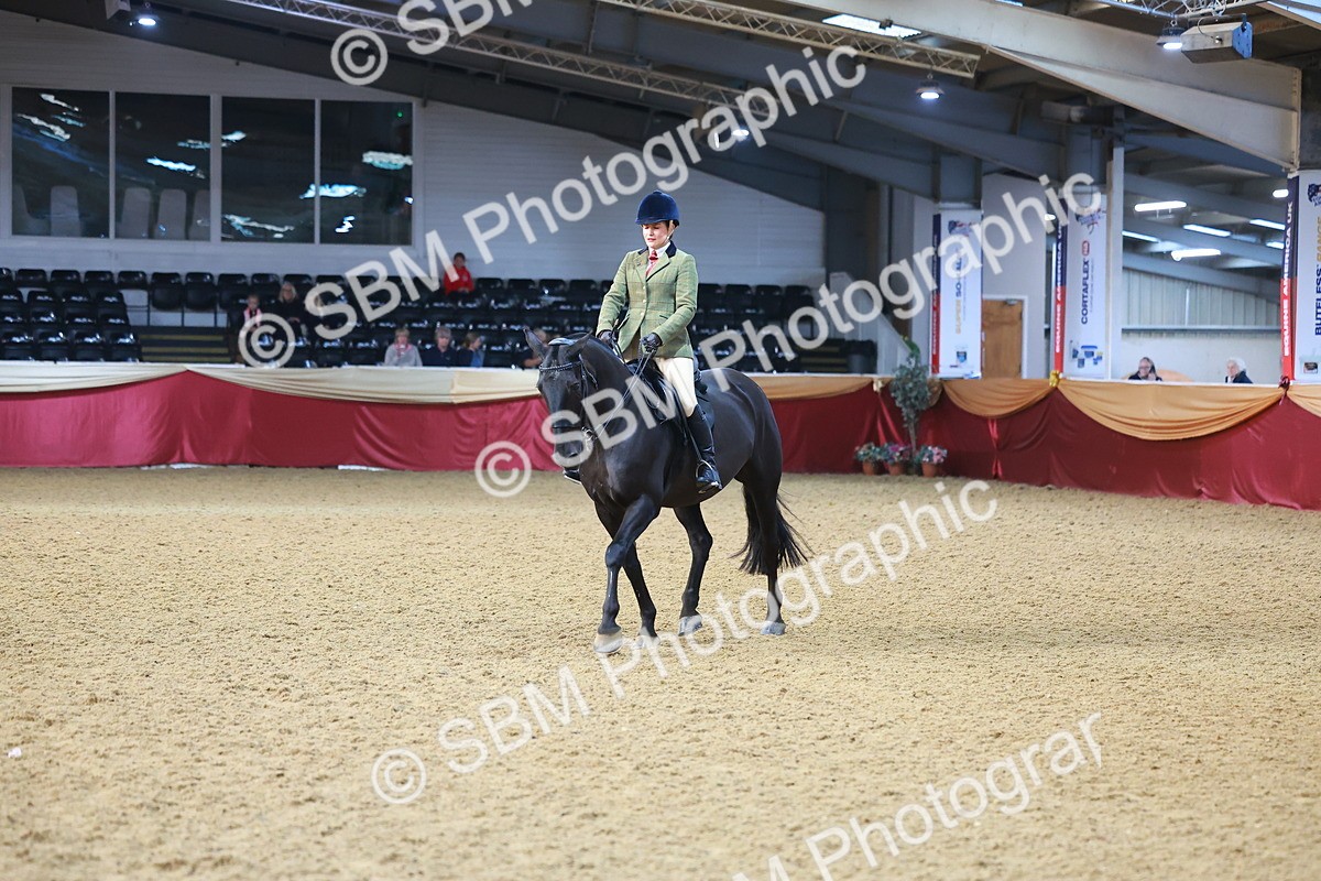 SBM_07681 - Class 101 - HOYS Veteran Qualifier - Ridden Diamond