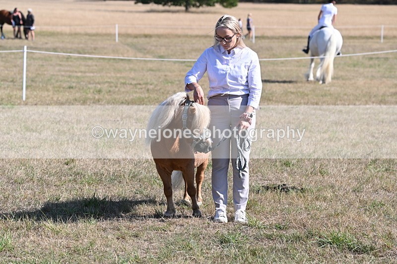 WJ6_7362 - Class 33 Rescue Pony