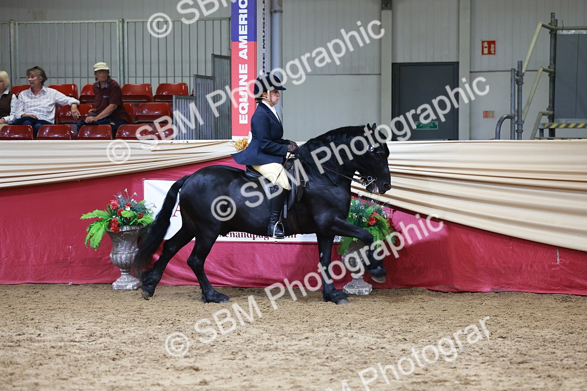 SBM_18729 - Class 952 - M&M Ridden Supreme Final