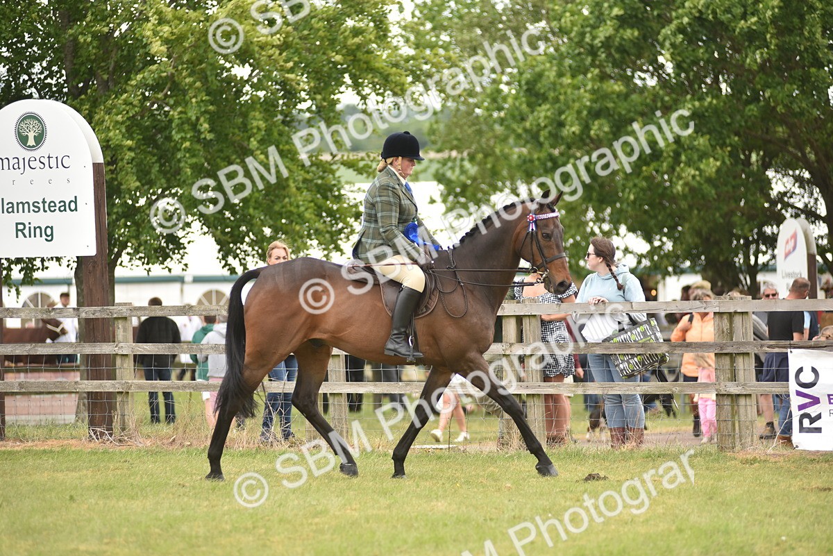 SBM_14271 - Class 113-114 - Retraining of Racehorses Ridden