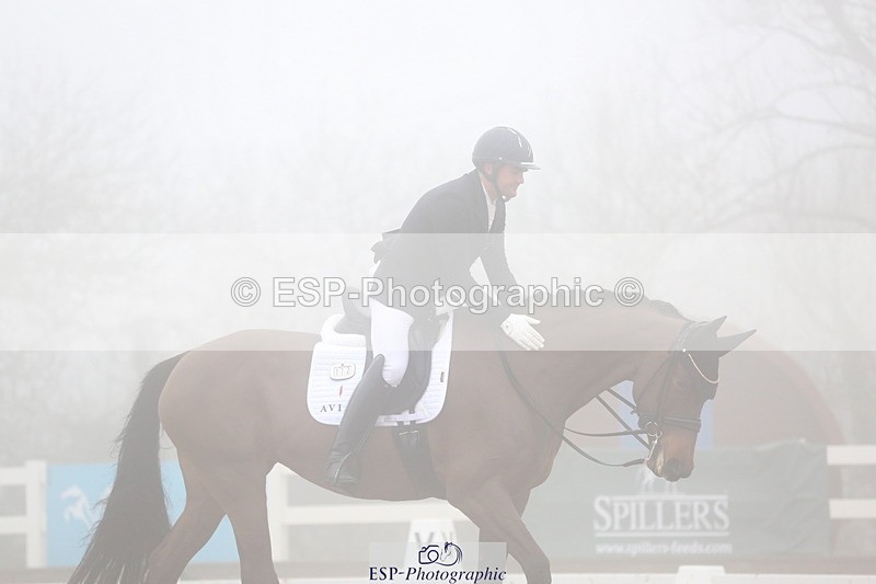 240217A-140531-03999 - 172-Jezz.Palmer-Honey.D'Or