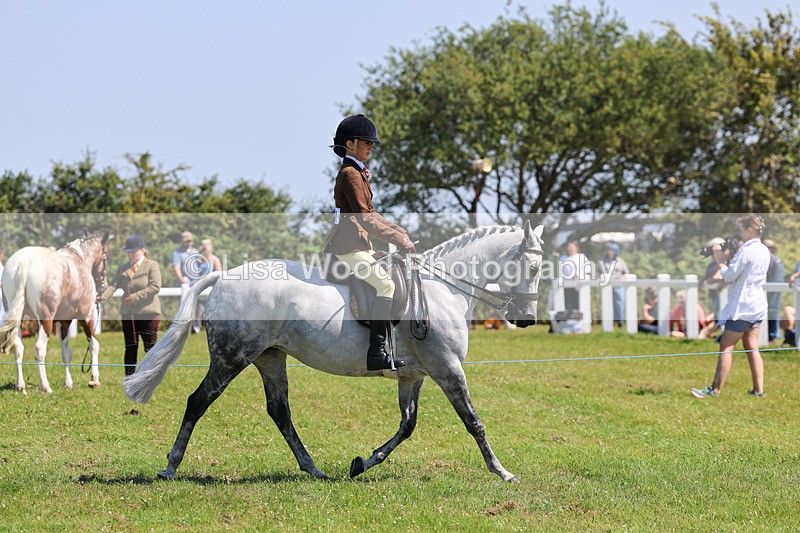 IMG_2176 - Class 36: Part Bred Ridden M & M