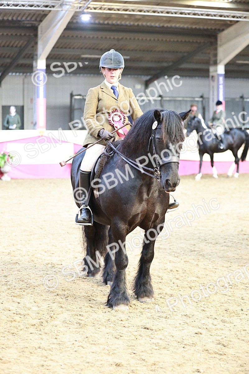 SBM_09137 - Class 12R - Regional Ridden Pre-Vet