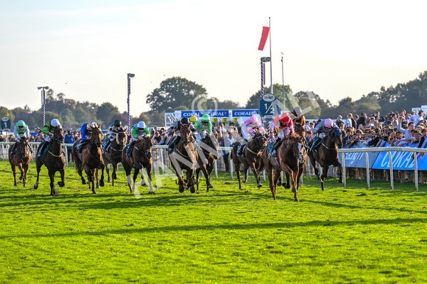 111025-Race 6-Berkshire Sundance-0605 - Race 6 Coral Racing Club Stayers Handicap at York