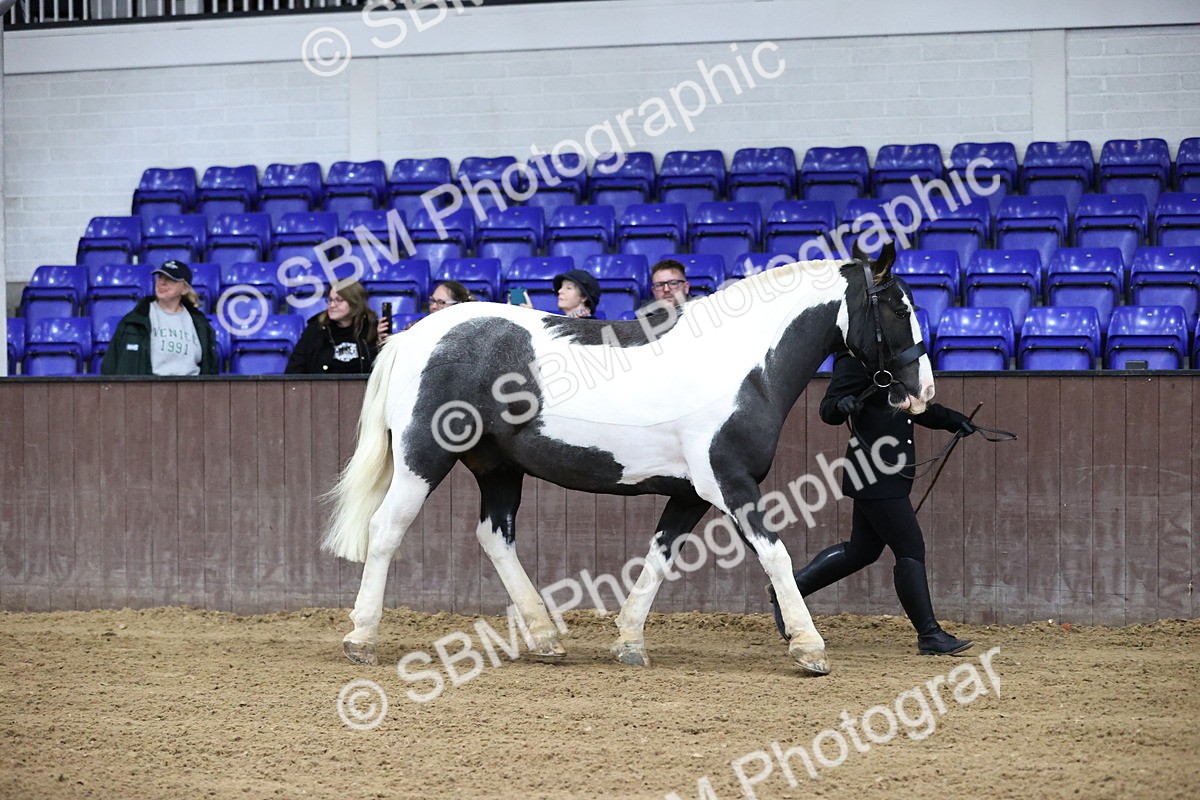 SBM_5254 - Class 32 - In Hand Cob Type