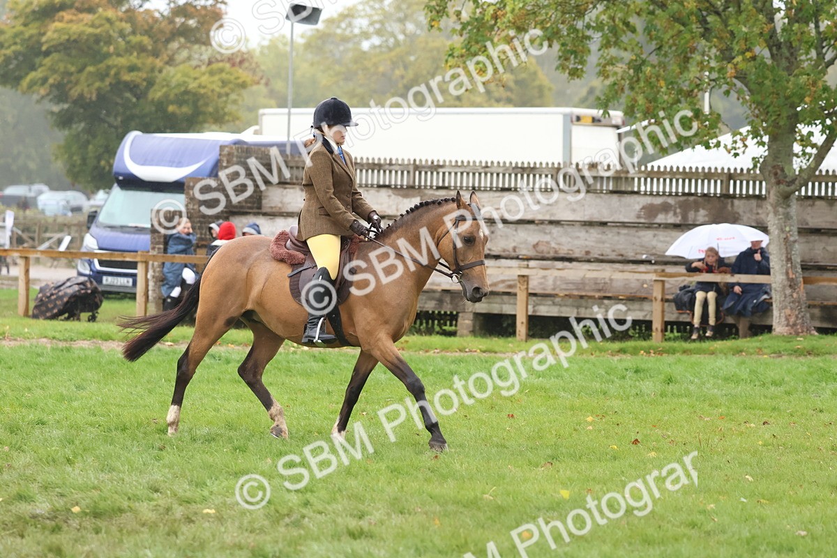 SBM_73041 - S63 Show Pony & Show Hunter Pony Ridden