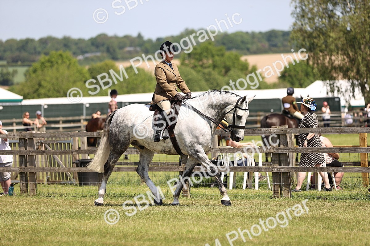 SBM_15022 - Class 79-80 - LIHS BSHA Rising Star Ridden Hunter