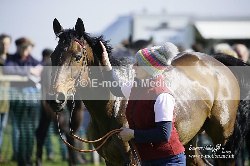 PtP 190322 427 - Wilton Hunt PtP Milborne St Andrew 19/03/22