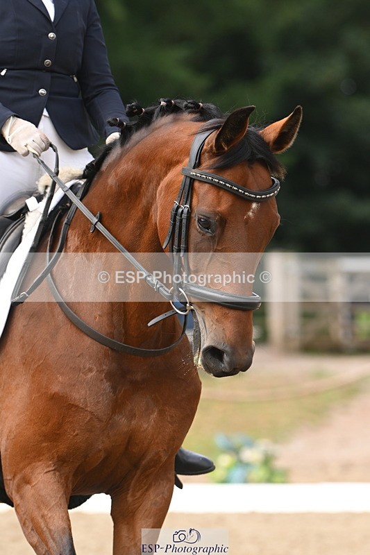 250719A-105321-04091 - 134-Carly.Moore-Taylors.Park.De'.Debutant