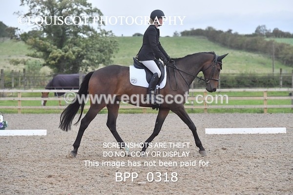 BPP_0318 - NOVICE 4 & 6