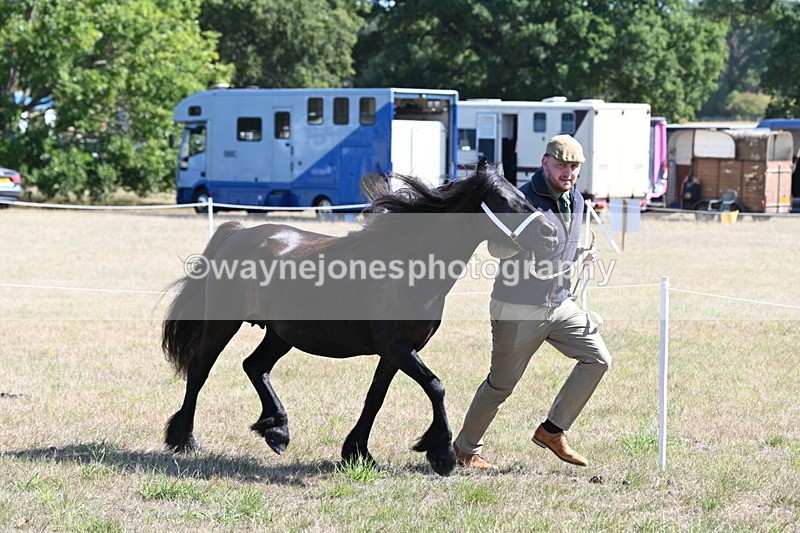 WJ6_4673 - Class 17 Mountain & Moorland