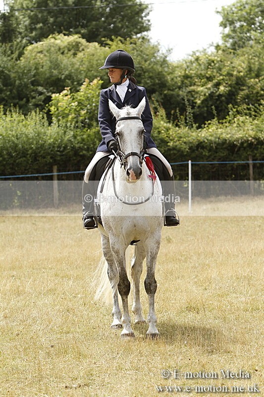 _BS_1004 - Working Hunter Championship BVRC Show 2018