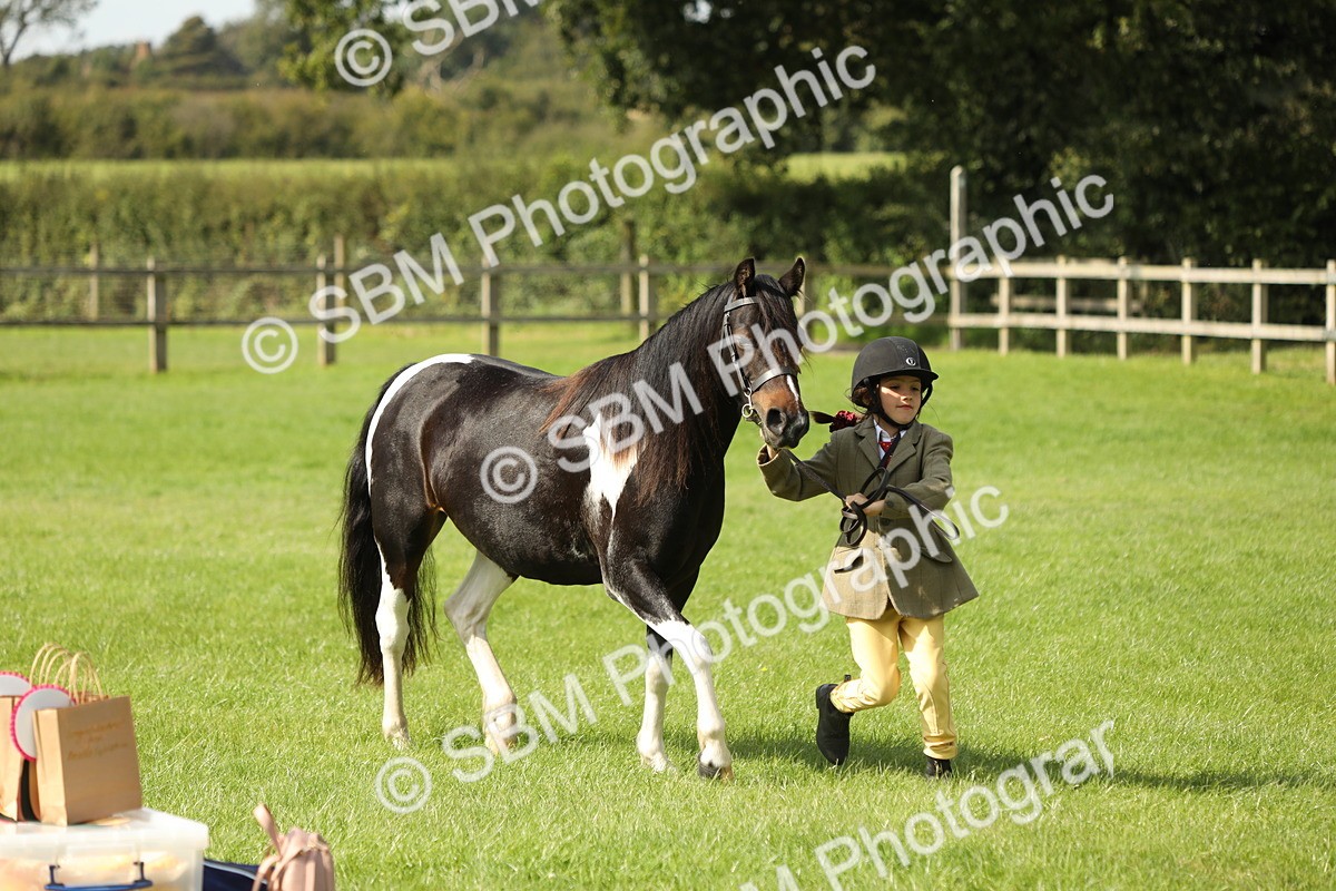 SBM_67781 - S39 - Junior Handler 8  Years & Under
