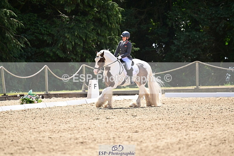 260802A-123459-06281 - Novice Silver break- end