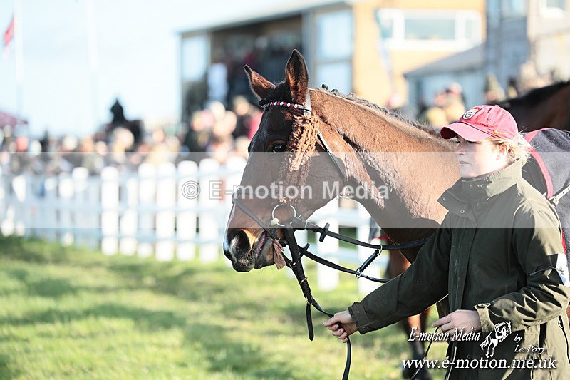 PtP 301125  0196 - Hursley Hambledon Point-to-Point Larkhill Racecourse 30/12/2025
