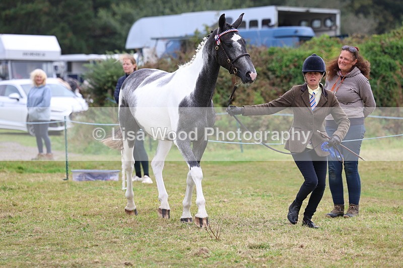 3E7A4290 - Class 15: Two Year Olds