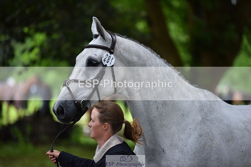 240522-164558-01137 - 281-UNSTOPPABLE_VAN_'T_CRAEYNEST_Z-Valentine_Emsens