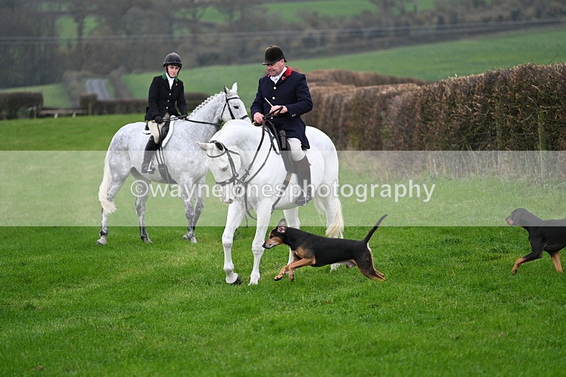 WJ7_8816 - Meet Staff & Hounds