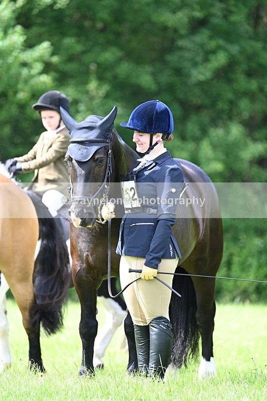 WJ7_1394 - Class 11 Condition & Turnout