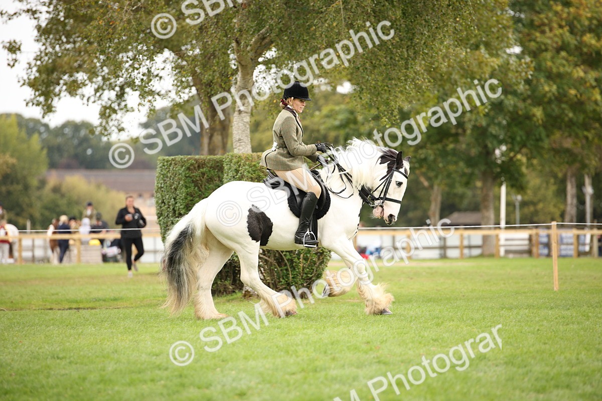 SBM_73540 - S68 - Traditional Cob Ridden