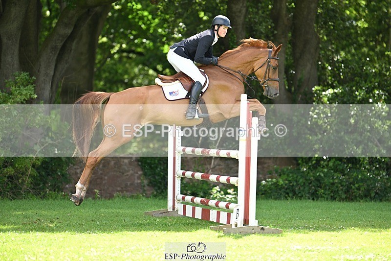 240706-105105-14279 - Cls 31, 5 yr old Qualifier
