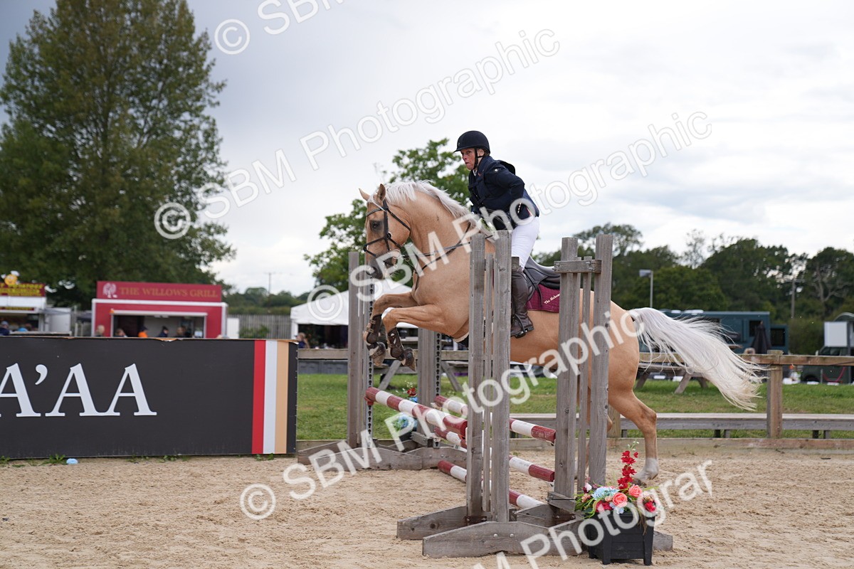 SBM_09273 - J36 Veteran 70cm Championship