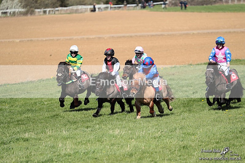 Shet 060426 262 - Shetland Pony Racing Paxford Races Easter Mon 06/04/26