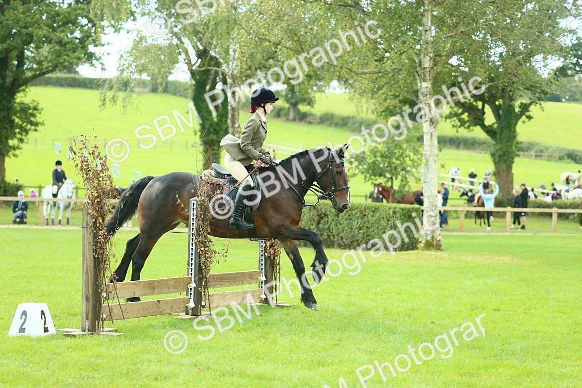 SBM_42040 - S29 - Novice & Newcomers Working Hunter Pony