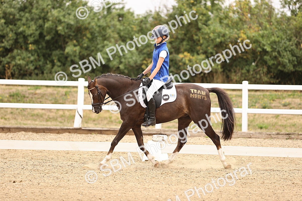 SBM_006406 - Intro 3 - 9.46-10.46