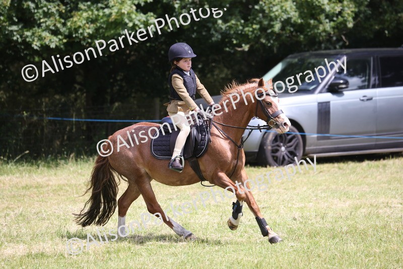 20260614-2017 - Class 21 - Novice Working Hunter Pony