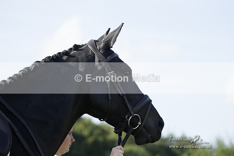 BVRC 120921 206 - Bourne Valley Riding Club UA Dressage & Show Jumping 12/09/21