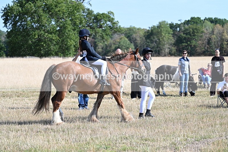 WJ7_3000 - Class 8 Ridden Tack & Turnout