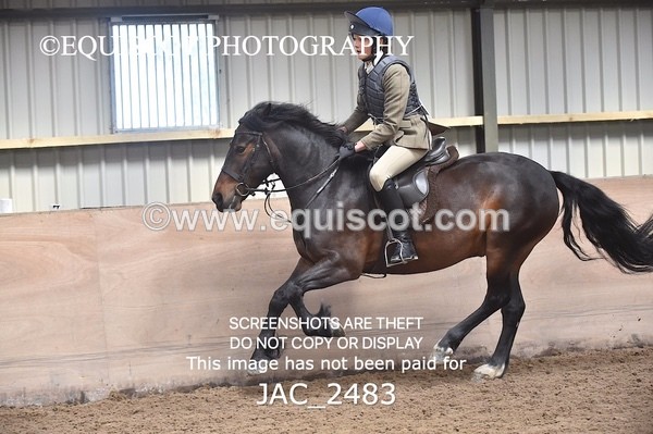 JAC_2483 - CLASS 3 Intermediate Working Hunter