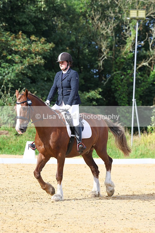 3E7A2278 - Class 1: Intro 4 2024 section A